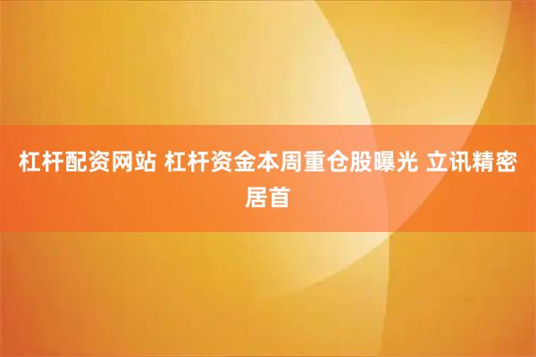 杠杆配资网站 杠杆资金本周重仓股曝光 立讯精密居首