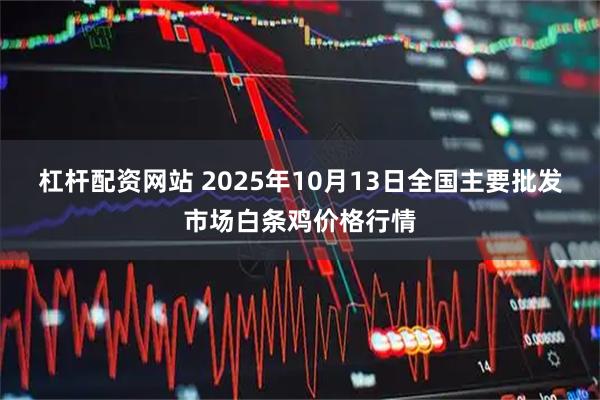 杠杆配资网站 2025年10月13日全国主要批发市场白条鸡价格行情