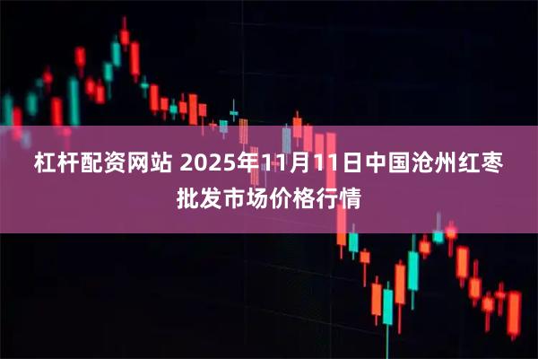 杠杆配资网站 2025年11月11日中国沧州红枣批发市场价格行情