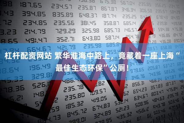 杠杆配资网站 繁华淮海中路上，竟藏着一座上海“最佳生态环保”公厕！