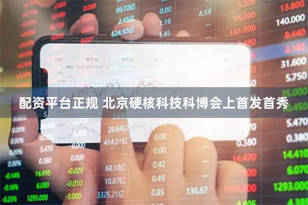 配资平台正规 北京硬核科技科博会上首发首秀
